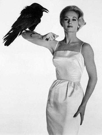 Tippi