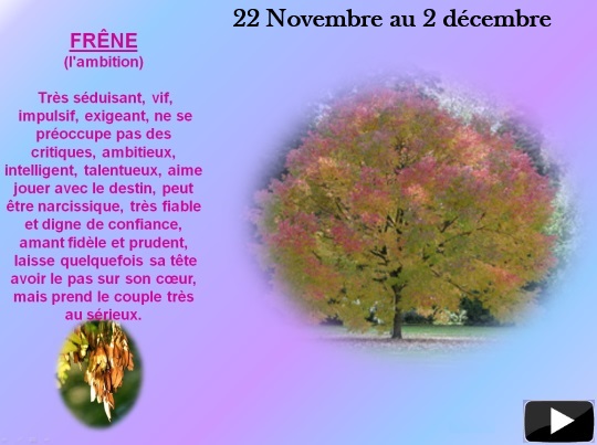 arbre22nov1decs