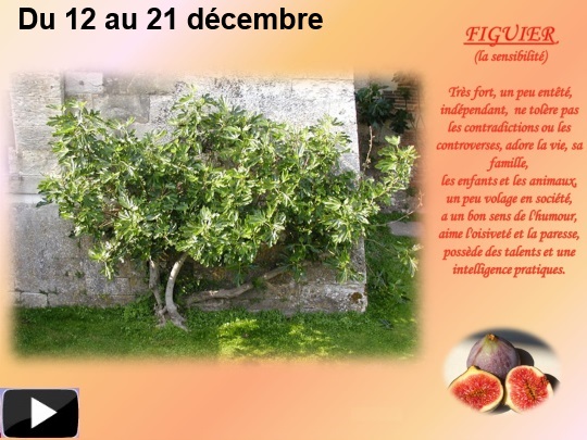 arbres12dec