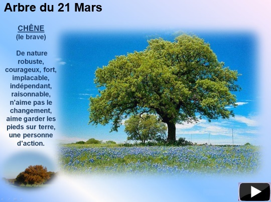 arbre21mars