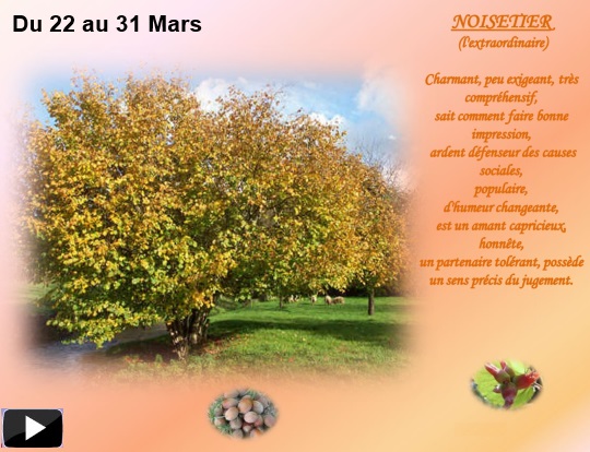 arbre22au31marss