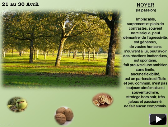 arbre2130avrils