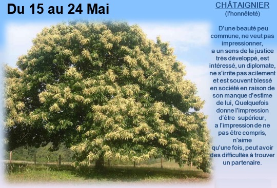 arbre15au24mais