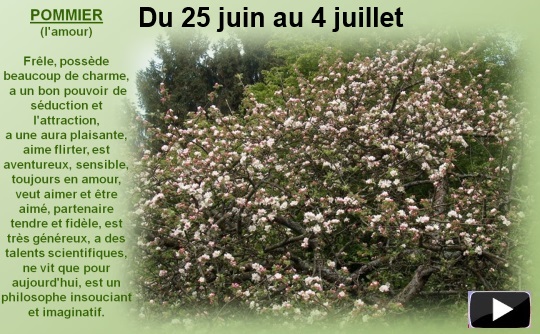 25juin4juilletarbres