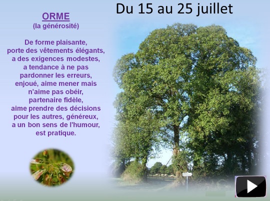 arbre15au25juillets