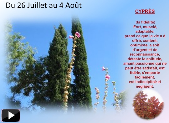 arbre26juil4aouts