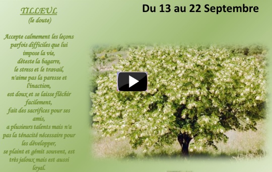 arbre13au22septembreS