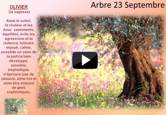 arbre23septembres