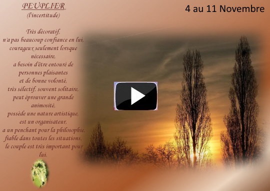 arbre4au11novembreS