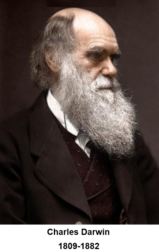 darwin