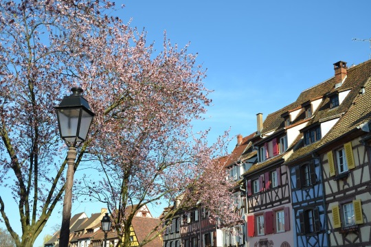 pâques 2016 Colmar 020