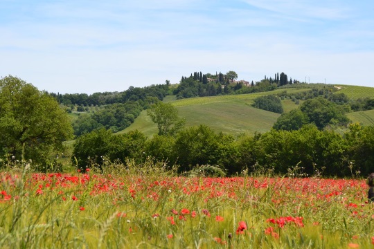 2016 - vacances en Toscane 060